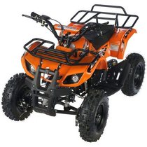 MOTAX ATV Х-16 Мини-Гризли квадроцикл детский бензиновый с электростартером и родительским пультом